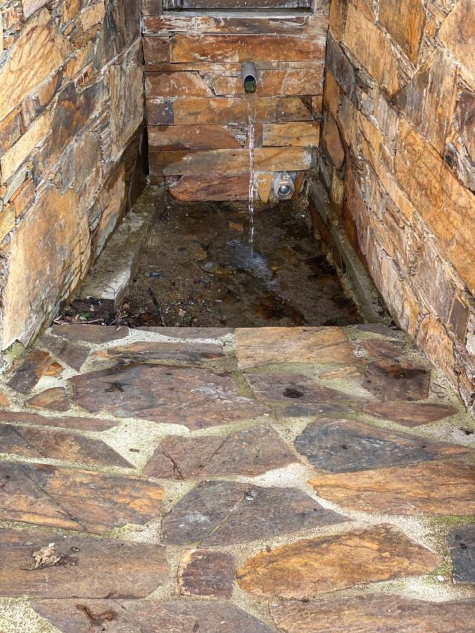 Isabel House Alojamento Rural Pampilhosa da Serra Kültér fotó